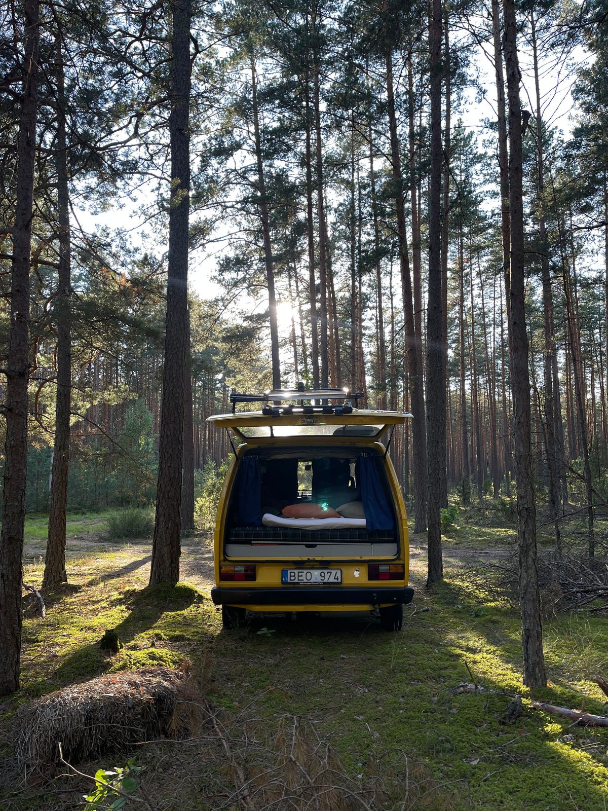Bee — Low-roof Volkswagen T3 in Lithuania (4)